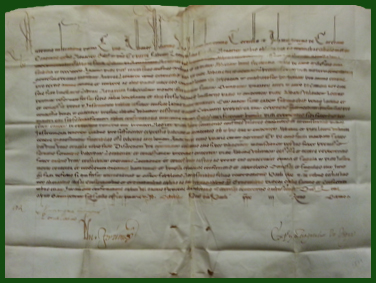Biblioteca Universitaria di Pavia, Fondo Pergamene. Carte diverse, scatola 10 (anno 1537-1550): pergamena n. 8.1038