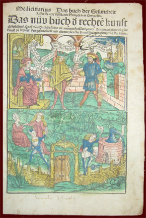 Hieronymus Brunschwig, Medicinarius. Strasburgo, 1505.Biblioteca Universitaria di Pavia: Rari D 14