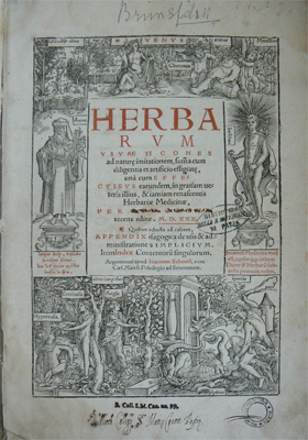 Otto Brunfels, Herbarum viuae eicones, Argentorati, apud Ioannem Schottum, 1532. Biblioteca Universitaria di Pavia: 17 E 22